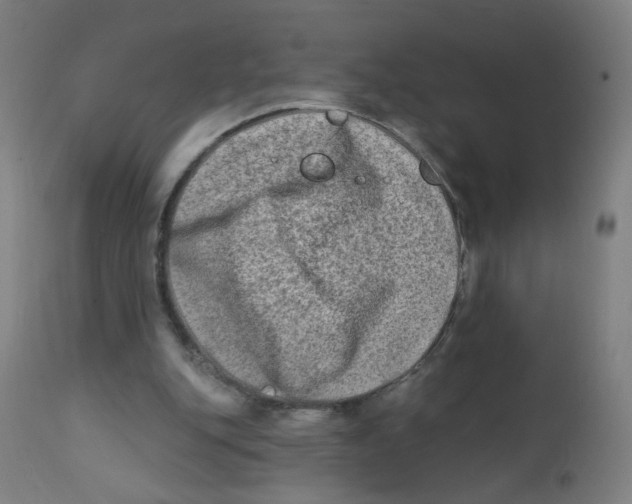 X0000112180151200909041238