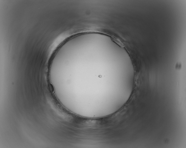 X0000112180152200909041238