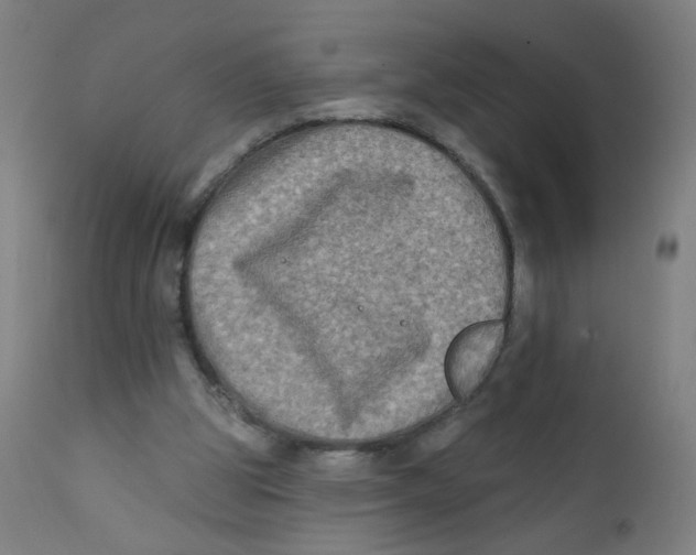 X0000112180153200909041238