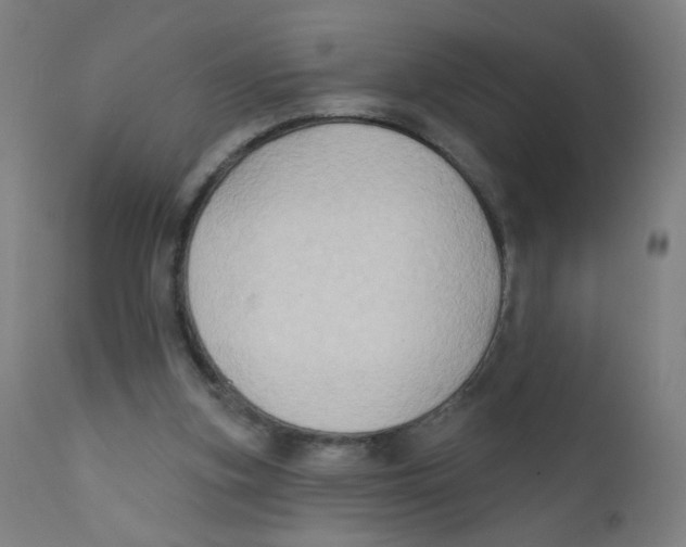 X0000112180155200909041238
