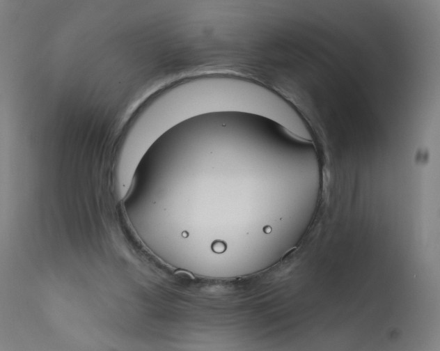 X0000112180156200909041238
