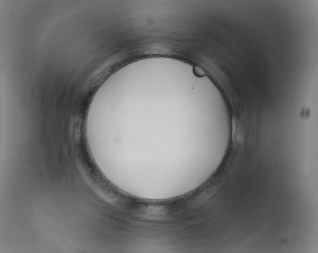 X0000112180157200909041238
