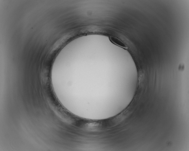 X0000112180158200909041238