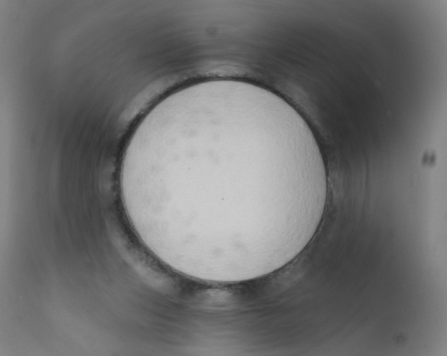 X0000112180159200909041238