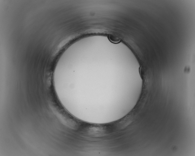 X0000112180160200909041238