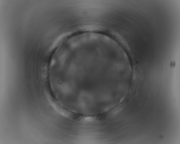 X0000112180163200909041238