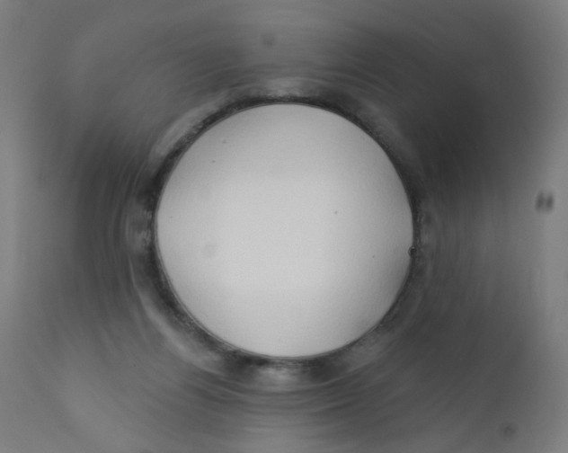 X0000112180164200909041238