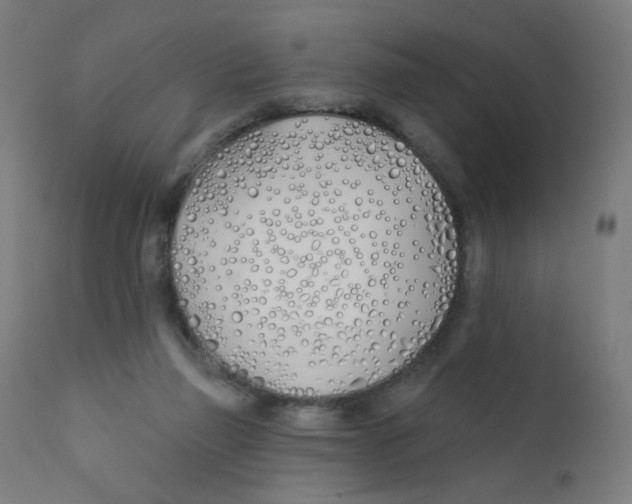 X0000112180165200909041238