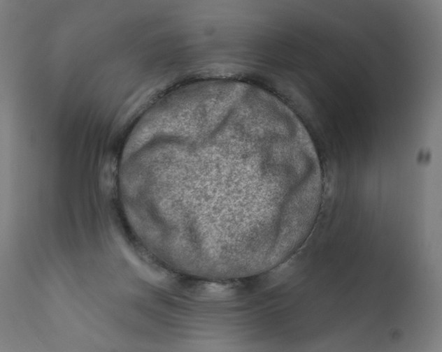 X0000112180166200909041238