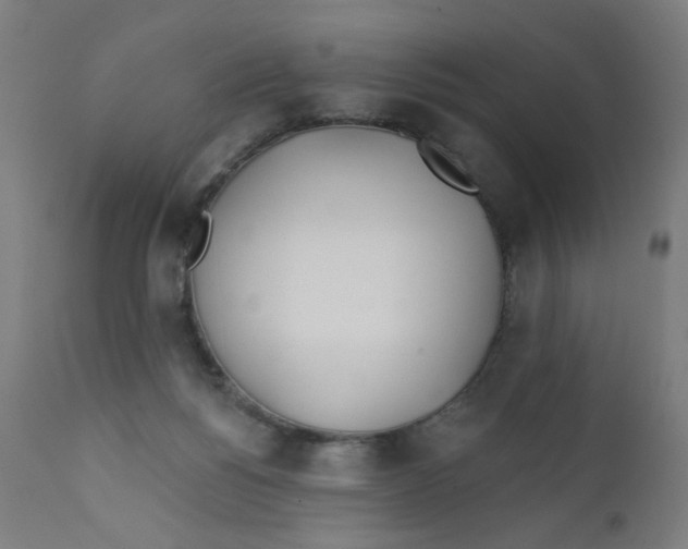 X0000112180168200909041238