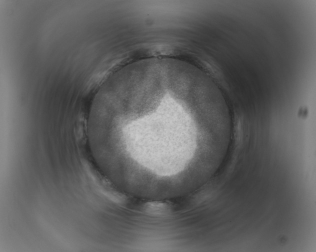 X0000112180169200909041238