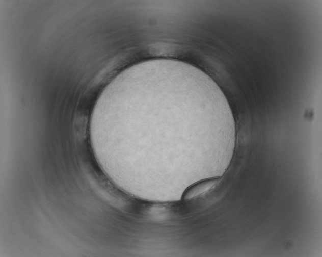 X0000112180171200909041238