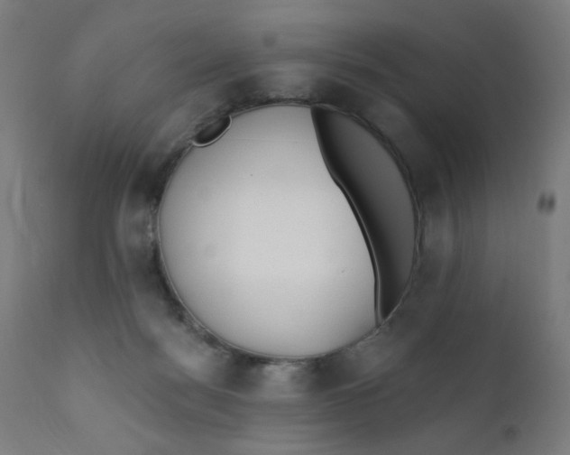 X0000112180172200909041238