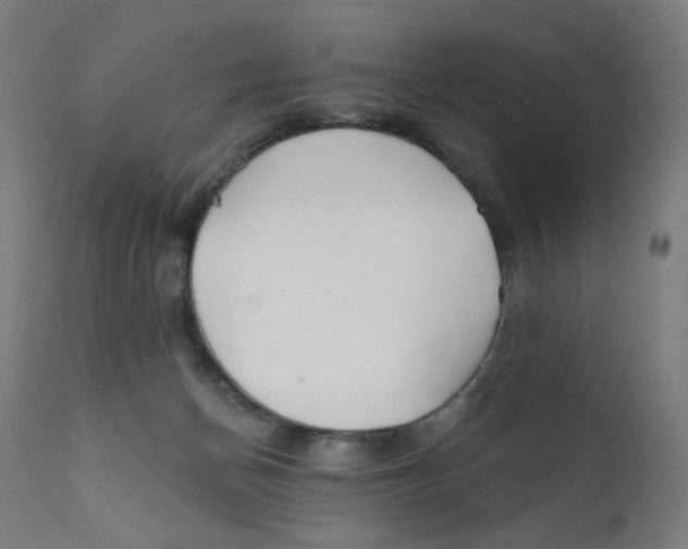 X0000112180174200909041238