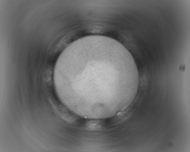 X0000112180175200909041238