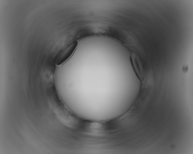 X0000112180176200909041238