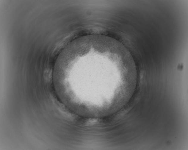X0000112180177200909041238