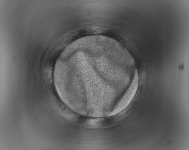 X0000112180178200909041238