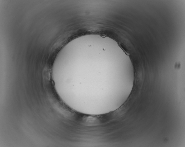 X0000112180180200909041239