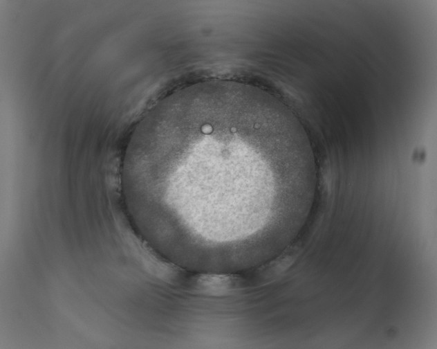 X0000112180181200909041239