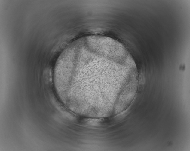X0000112180182200909041239