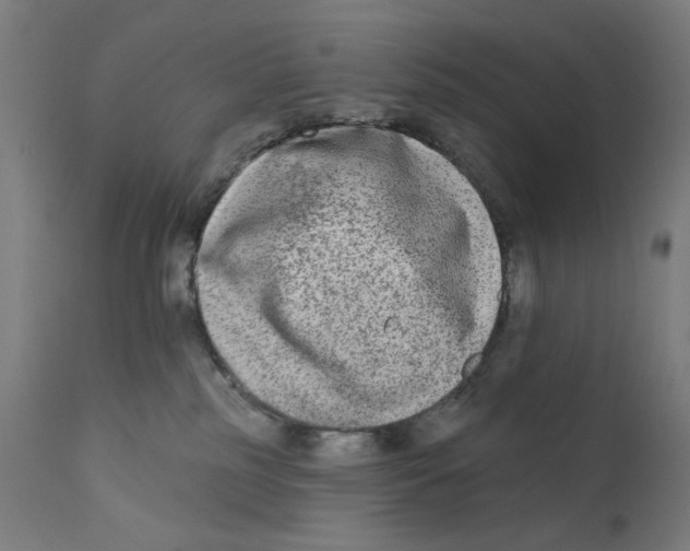 X0000112180185200909041239