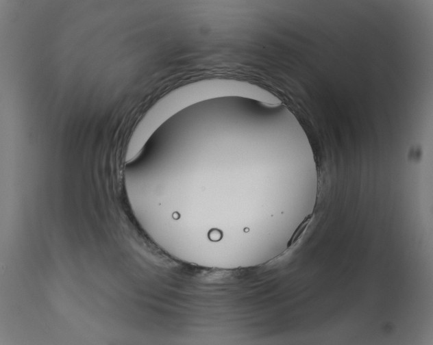 X0000112180186200909041239
