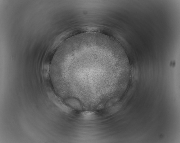 X0000112180189200909041239
