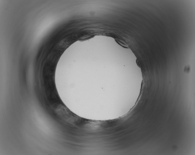 X0000112180190200909041239