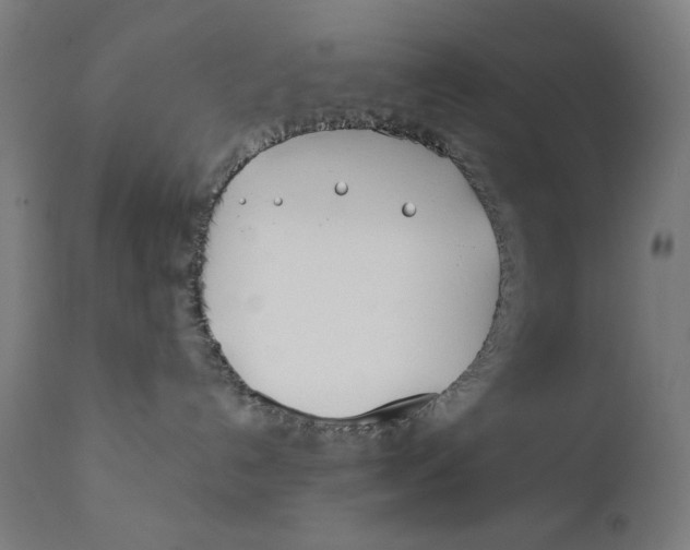 X0000112180192200909041239
