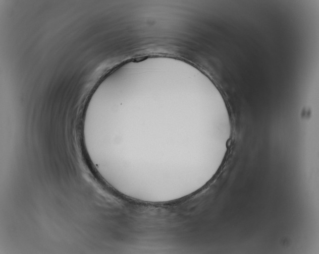 X0000112180193200909041238