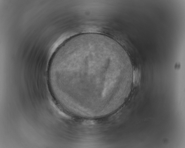 X0000112180195200909041238