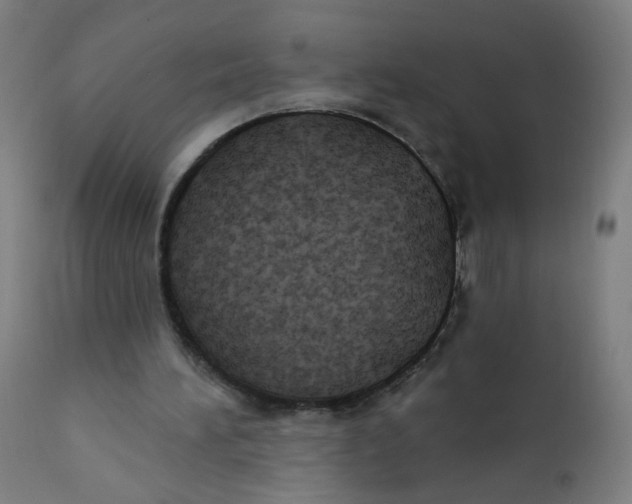 X0000112180196200909041238