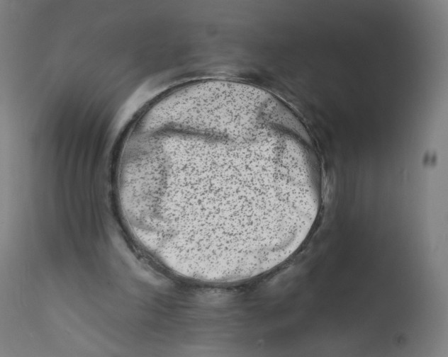 X0000112180198200909041238
