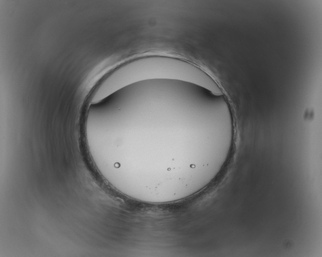 X0000112180199200909041238
