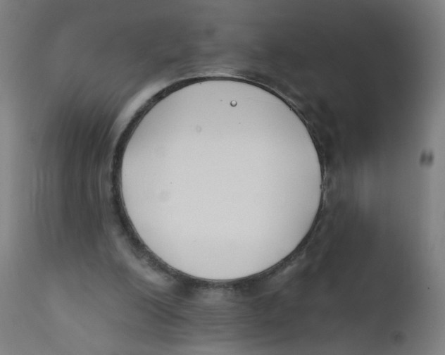 X0000112180200200909041238