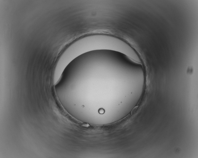 X0000112180201200909041238