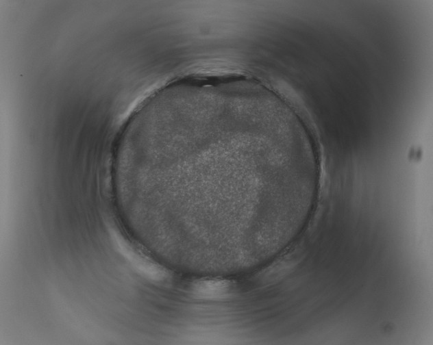 X0000112180202200909041238