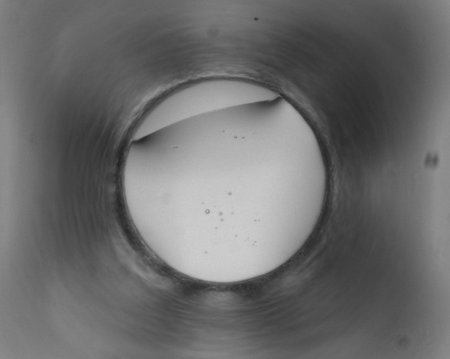 X0000112180203200909041238