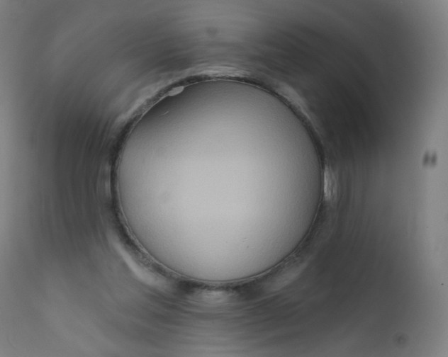 X0000112180205200909041238