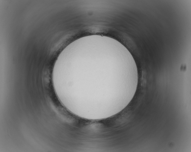 X0000112180210200909041238