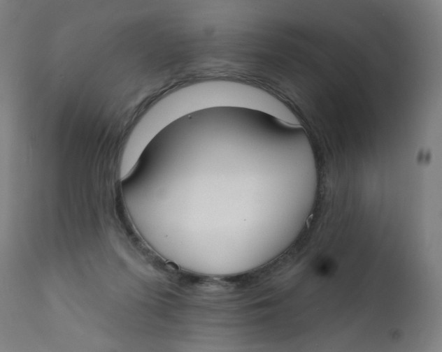 X0000112180215200909041238