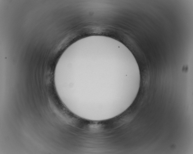 X0000112180216200909041238