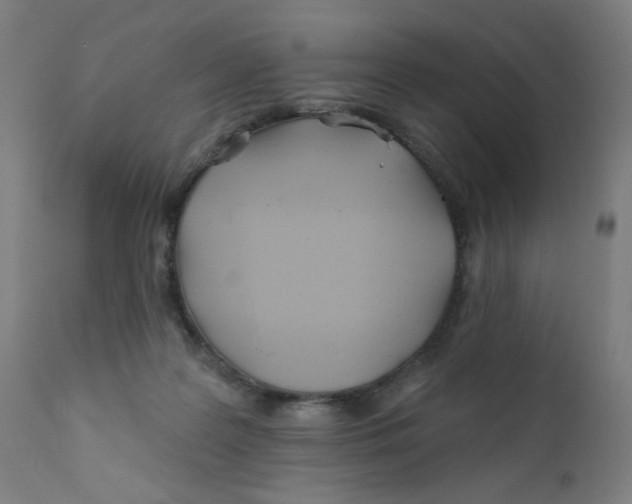 X0000112180219200909041238