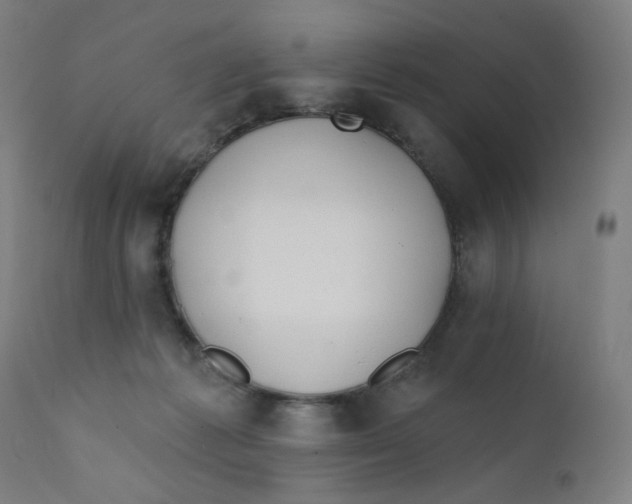 X0000112180221200909041238