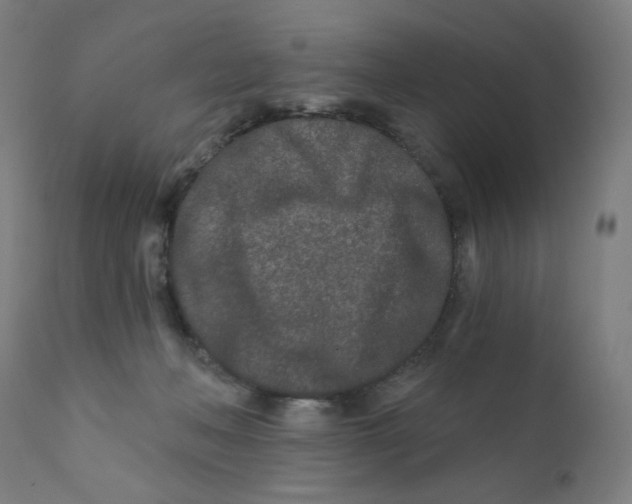 X0000112180222200909041238
