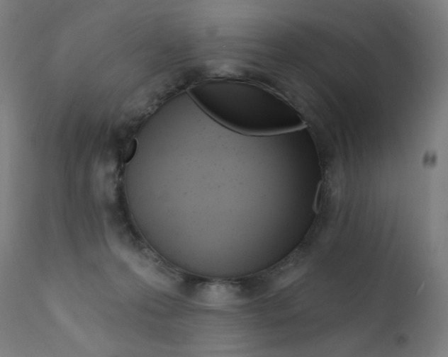 X0000112180223200909041237