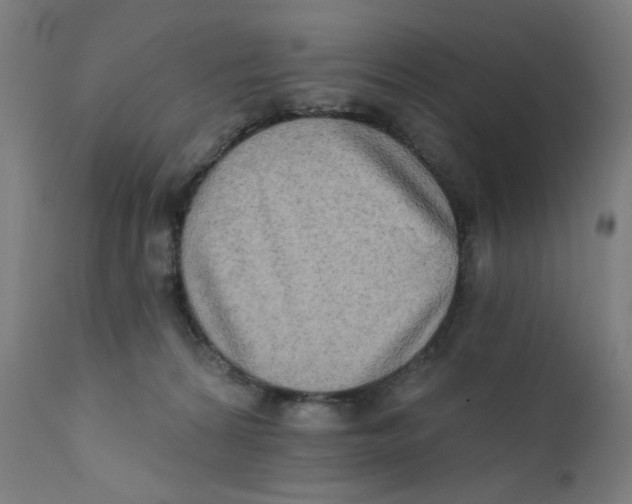 X0000112180224200909041237