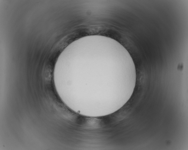 X0000112180226200909041237