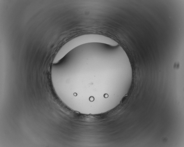 X0000112180229200909041237